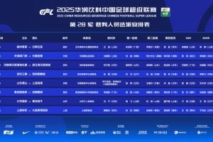 中超第28轮裁判：坦格舍夫执法泰山vs海港，马宁执法国安vs海牛